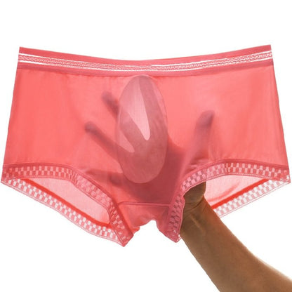Neue durchscheinende, sexy, nahtlose Höschen aus Eisseide