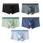 Atmungsaktive Ice Silk Mesh-Boxershorts für Herren🔥Kaufe 3 und erhalte 2 gratis